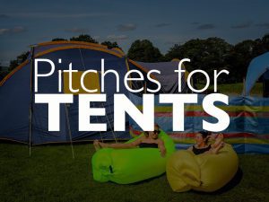 Search Tent Pitches