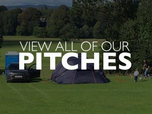 Search all pitches